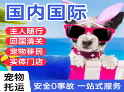 白山长白山机场快运国际宠物托运 【国